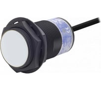 Индуктивный датчик приближения Autonics PRDAT30-15DO, НО, 2-пр., 2м, 12-24В, (Юж.Корея) 31030500350121