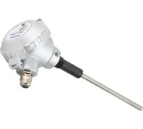 Датчик пыли INNOLEVEL зонд L=250 мм, -20 +150 С, Pmax=2 bar, 24 VDC, IP 65, соединение- резьба 1/2. NPT пластик, выходной сигнал- реле DPDT, кабель 2 метра IL-FS710E-L250