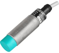 Индуктивный датчик ТЕКО ISN EF4B-31P-8-LZ, Sn=8мм, корпус М18x1 Латунь не заподлицо, 10 ... 30 DC, PNP NO, IP67, подключение кабель 00-00025720