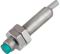 Индуктивный датчик ТЕКО ISN F1B-31N-2,5-L-0,31, Sn=2,5мм, корпус М8x0,5 Латунь не заподлицо, 10 ... 30 DC, NPN NO, IP67, подключение кабель 07-00038060