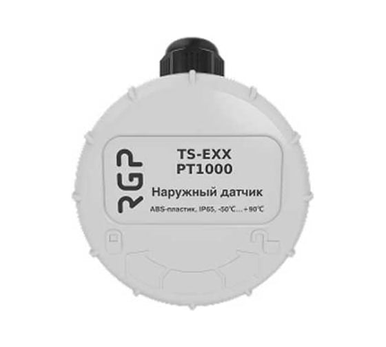 Датчик температуры наружного воздуха Завод RGP Z-скоба, выносной TS-E02 NTC10k (3950)