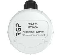 Датчик температуры наружного воздуха Завод RGP (PBT-пластик) TS-E03 PT1000