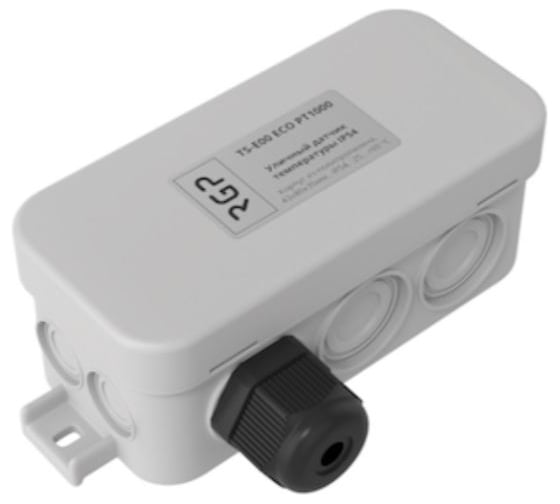 Уличный датчик температуры Завод RGP (IP54) TS-E00 ECO PT1000