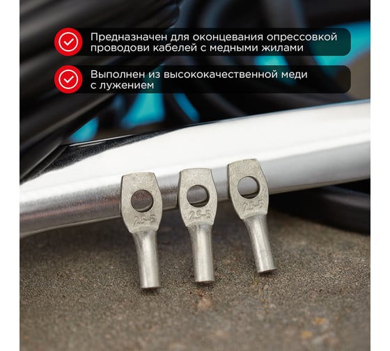 Медный луженый наконечник REXANT ТМЛ 120–12–17 (120мм2 - d 12мм) ГОСТ 7386-80, 2 шт. 07-5331