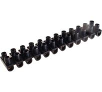 Винтовая 12-полюсная клемма REV Терминал, для провода 14 мм 24581 0