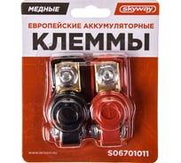 Клеммы SKYWAY медные европейские 011 S06701011 16259192