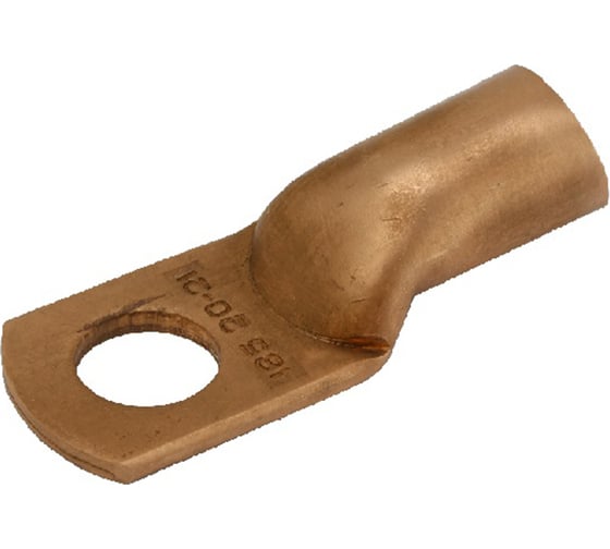 Силовой наконечник EKF PROxima DT-10-6-5 ТМ, медный 100 шт dt-10-8-5