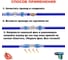 Набор термоусадочных соединителей Vitatools для проводов с припоем 100 штук, в контейнере TU-spripoem-100 6