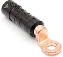 Изолированный наконечник ВК CPTAU 54 21800951