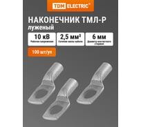 Наконечник TDM ELECTRIC ТМЛ-Р 2,5-6-2,6 SQ0572-0001