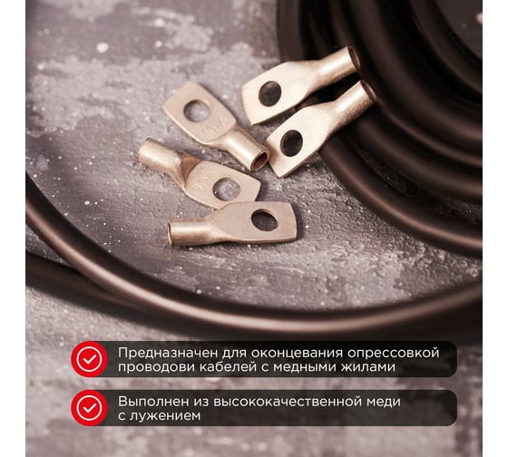 Медный луженый наконечник REXANT ТМЛ-Р 10–6 (10мм2 - d6мм), 100 шт. 07-5308-6