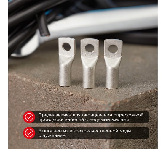 Медный луженый наконечник REXANT ТМЛ-Р 25–6 (25мм2 - d6мм), 100 шт. 07-5312-6