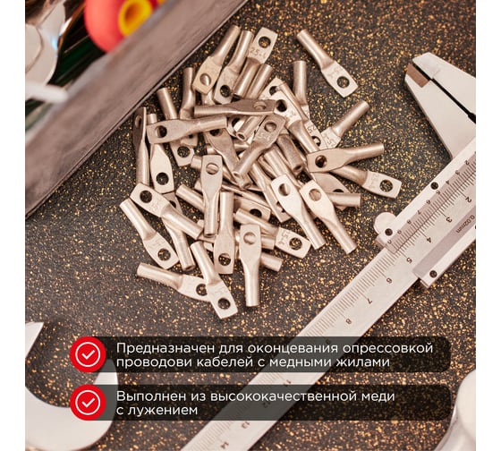 Медный луженый наконечник REXANT ТМЛ-Р 4–5 (4мм2 - d5мм), 100 шт. 07-5303-6
