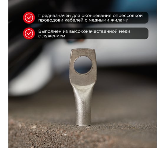 Медный луженый наконечник REXANT ТМЛ-Р 4–6 (4мм2 - d6мм), 10 шт. 07-5304-2