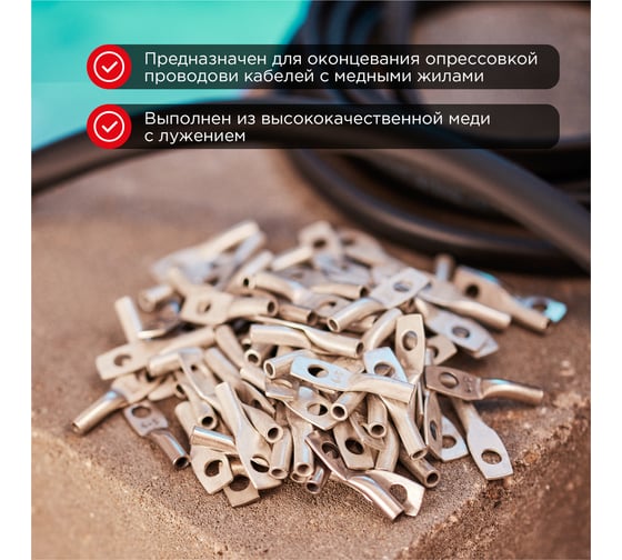 Медный луженый наконечник REXANT ТМЛ-Р 6–5 (6мм2 - d5мм), 100 шт. 07-5305-6