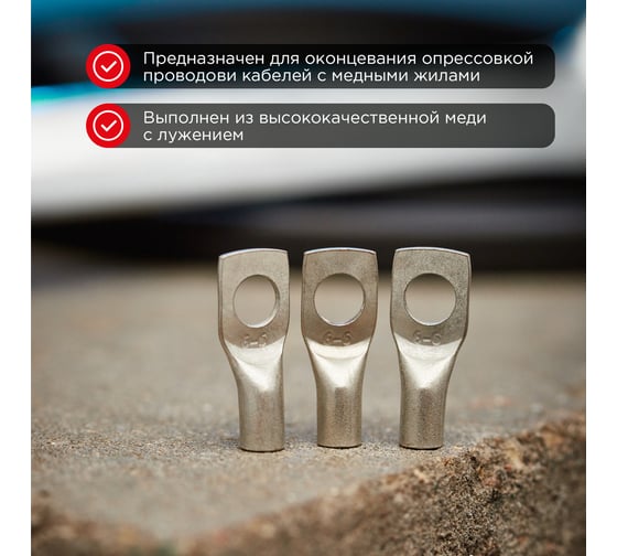 Медный луженый наконечник REXANT ТМЛ-Р 6–6 (6мм2 - d6мм), 10 шт. 07-5306-2