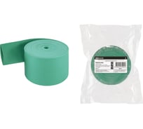 Термоусаживаемая трубка TDM ELECTRIC для изоляции шин ТТШ-10-100/40-З SQ0548-0406