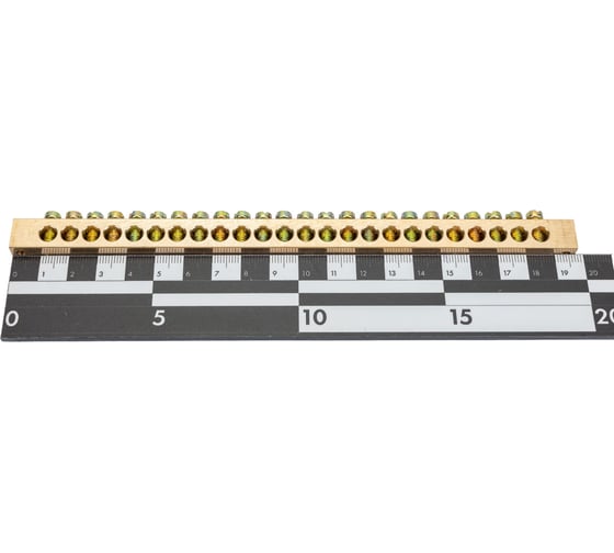 Шина ЭРА NO12229 PEN земля-ноль 8x12мм 24/2 латунная, крепеж по краям Б0047244