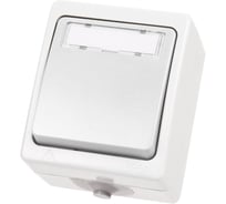 Кнопка звонковая белая с полем для надписи TDM ELECTRIC IP54 6A серия "Вуокса" TDM SQ1803-1006