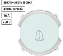 Выключатель звонка TDM ELECTRIC 1-клавишный 16а 250в фисташковый, "байкал" SQ1819-0153