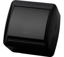 Кнопка звонковая TDM ELECTRIC открытой установки IP44 6А графит "Селигер" SQ1818-0316