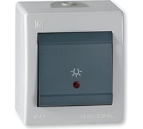 Выключатель кнопочный для освещения Aling-conel POWER с индикацией накладной IP44 10A 250V серый-графитовый (арт. ) 255I.1A