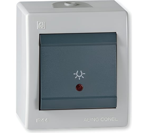 Выключатель кнопочный для освещения Aling-conel POWER с индикацией накладной IP44 10A 250V серый-графитовый (арт. ) 255I.1A 1