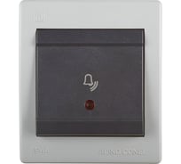 Выключатель кнопочный для звонка Aling-conel POWER с индикацией накладной IP44 10AX 250V серый-графитовый (арт. ) 256I.1A