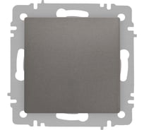 Кнопка Intro Accent 610909, 10А250В, IP20, СУ, титан Б0063621