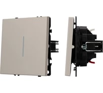 Механизм звонкового выключателя Arlight LED SWT-NOBE-MKR1-SFPL-L-CA 1шт 061783