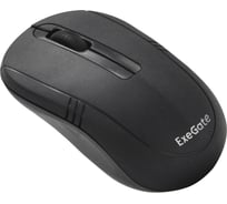 Беспроводная мышь ExeGate Professional Standard SR-9021 радиоканал 2,4 ГГц, USB, оптическая, 1200dpi, 3D, 3 кнопки и колесо прокрутки, черная, Color Box 269649