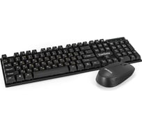 Комплект ExeGate беспроводной Professional Standard Combo MK210 клавиатура полноразмерная влагозащищенная 104кл. + мышь оптическая 1200dpi, 3 кнопки и колесо про 295304