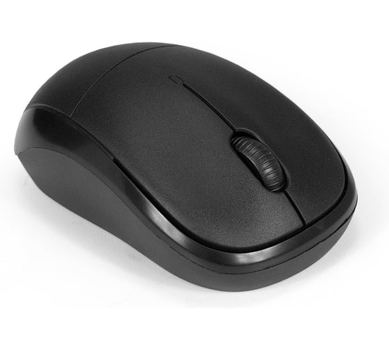 Беспроводная мышь ExeGate Professional Standard SR-9065 радиоканал 2,4 ГГц, USB, оптическая, 1000dpi, 3D, 3 кнопки и колесо прокрутки, черная, Color Box 294837