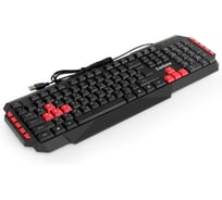 Клавиатура ExeGate Multimedia Professional Standard LY-505M USB, полноразмерная, влагозащищенная, 114кл., Enter большой, 8 красных клавиш, мультимедиа, длина 296103