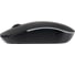 Мышь Filum Wireless FL-MBT25-BK оптическая USB/BT 4 кл., DPI: 800/1200/1600, питание АА 1 шт., черная, Windows XP/Vista/7/8/10, MacOS 00-01092753 10