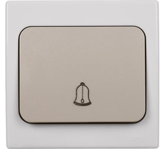 Звонковая кнопка TDM ELECTRIC скрытой установки IP54 6A серая Вуокса SQ1803-0106