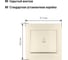 Звонковая кнопка TDM ELECTRIC слоновая кость Таймыр SQ1814-0109 4