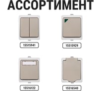 Звонковая кнопка с полем для надписи TDM ELECTRIC IP54 Вуокса SQ1803-0006