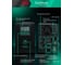 ИБП Systeme Electric Smart-Save SMX-Tower 2000 ВА, 230 В, 1:1, Внешние АКБ 48В, 3хShuko SMXSE2000T 8