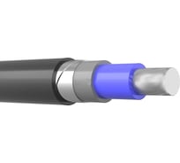 Силовой бронированный кабель АВБШв ПРОВОДНИК 1x500 мм2, 1м OZ82309L1