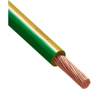 Провод ПуГВнг(А)-LS Конкорд 1x10 (ж-з) (100) 2204