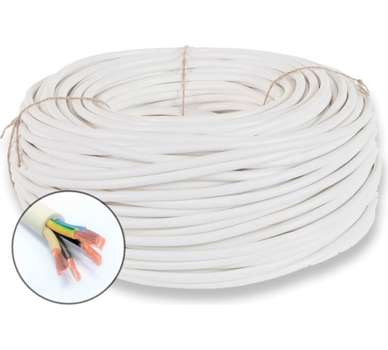 Провод бытовой ПВСнг(A)-LS ПРОВОДНИК 5x10 мм2 50м OZ213874L50 1