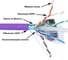 Кабель LANMASTER U/UTP, кат. 6A, с матричным экраном, 4 пары, с перегородкой, 500Mhz, LSZH IEC60332-3-22(3A), фиолетовый, 305 м LAN-6AUMTP-HFLT-VI 2
