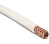 Провод TDM ELECTRIC ПуГВнг(А)-LS 1x10,0 ГОСТ на катушке (150м), белый SQ0124-1870