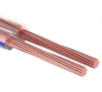 Акустический кабель REXANT 2х1,00 мм2 прозрачный BLUELINE 01-6205-3-20