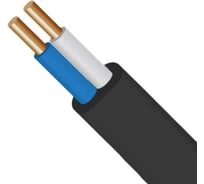 Кабель ООО "НПО КАБЕЛЬ-С" ВВГ-Пнг(А) 2x2,5 ГОСТ 31996-2012 (30 м) НФ-00002077
