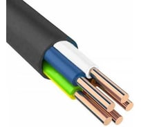 Кабель ООО «Радиус» ВВГ-нг(А)-LSLTx 660 В 5x2,5 ок (N, PE) 100 метров TR8166