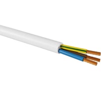 Провод TDM ELECTRIC ПРКС 3x1,5(N)-0,38 на катушке (100м), белый TDM SQ0136-0021