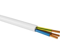 Провод TDM ELECTRIC ПРКС 3x2,5(N)-0,38 на катушке (100м), белый TDM SQ0136-0025