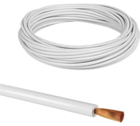 Провод TDM ELECTRIC ПуГВнг(А)-LS 1x6, ГОСТ, 10м, белый SQ0124-2716